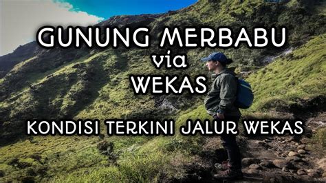 PENDAKIAN GUNUNG MERBABU VIA WEKAS KONDISI TERBARU JALUR WEKAS YouTube