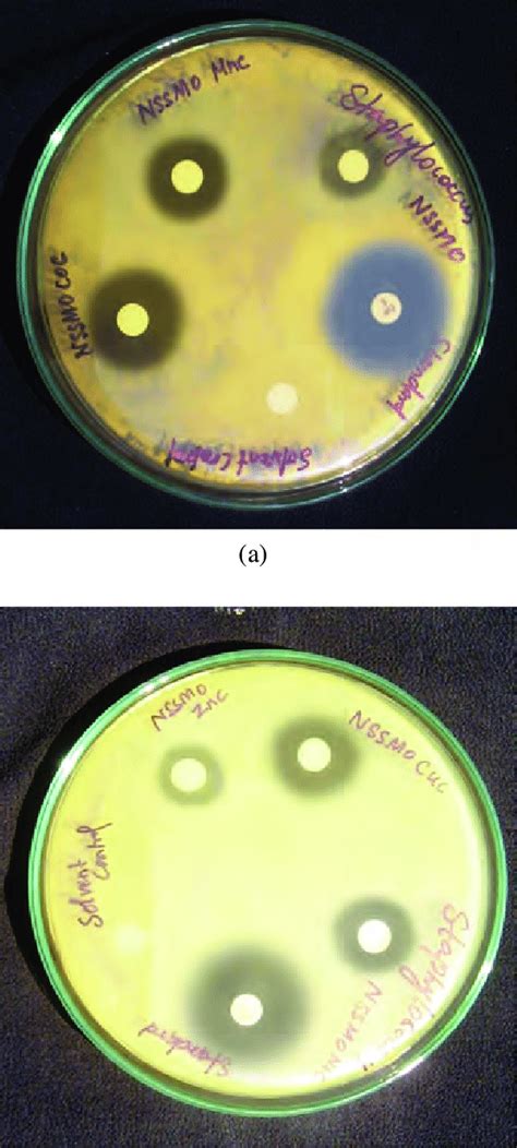 A Zone Of Inhibition For The Ligand Nssmo Against Staphylococcus Download Scientific