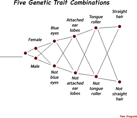 Five Genetic Traits