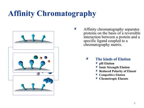 Affinity Chromatography Principles And Applications Ppt