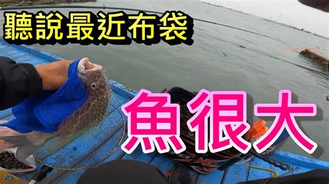 今年首次布袋外海釣魚 大魚都進來了 結果上一波大咬沒空去釣 趁著半天好天氣來去試試看 クロダイ｜감성돔｜ ตกปลา Youtube