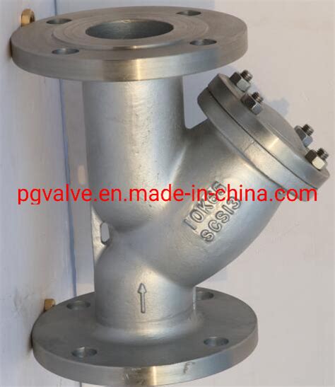 Stainless Steel SS304 Scs13 JIS10K 20K Y Type Strainer China Strainer