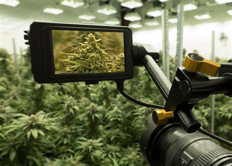 Your Guide to Commercial Cannabis Grow Room Design | Lift and Grow