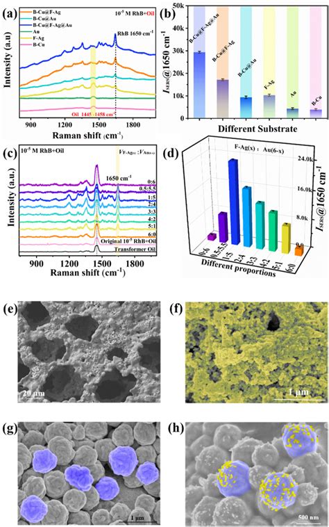 A Surface‐enhanced Raman Scattering Sers Spectra Of Different