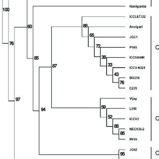 Dendrogram Generated Using Upgma Analysis Showing Relationship Between