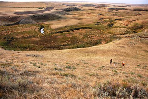 About the Grasslands Act – The North American Grasslands Conservation Act