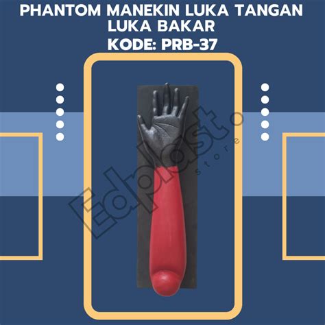 Jual PHANTOM TORSO MANEKIN ALAT PERAGA MODEL LUKA TANGAN LUKA BAKAR