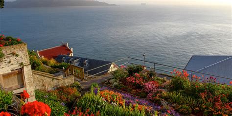 Alcatraz Gardens Gallery | Golden Gate National Parks Conservancy