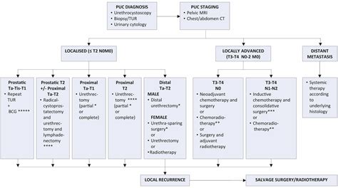 Transitional Cell Carcinoma Causes Symptoms Diagnosis Treatment And Prognosis