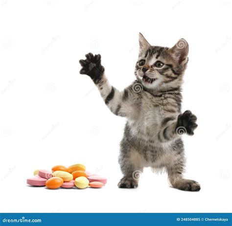Vitamins for Pets. Cute Kitten and Different Pills on White Background