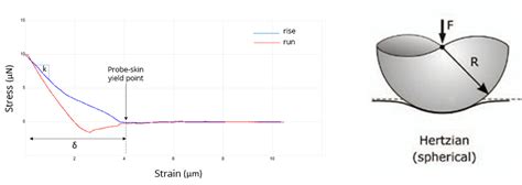 Glomeca Elastic Modulus At The Skin Level Biomeca