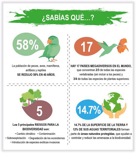 Infografia Exyge Consultores