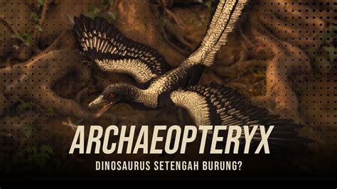 Bukti Pertama Dari Hubungan Dinosaurus Dan Burung Archaeopteryx Youtube