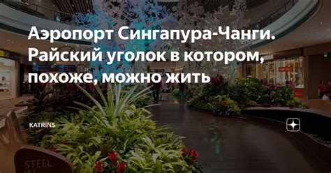 Аэропорт Сингапура-Чанги. Райский уголок в котором, похоже, можно жить ...