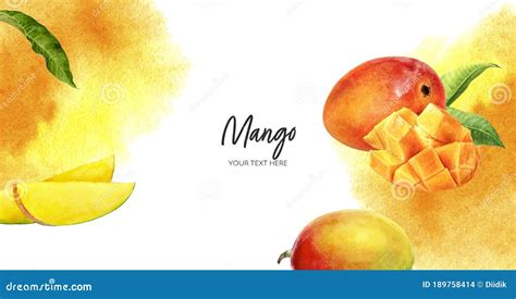 Mango Horizontal Banner Composition Watercolor Hand Drawn Illustration