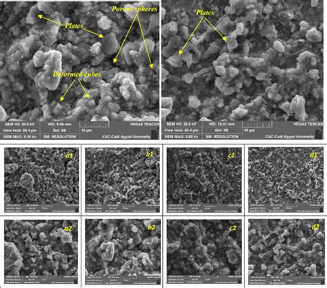 SEM Micrographs Of Low Carbon Steel Samples Immersed For A Long Time