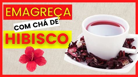 CHÁ DE HIBISCO EMAGRECE Aprenda Como Fazer Chá de Hibisco da Forma