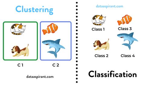 Clustering Vs Classification Example