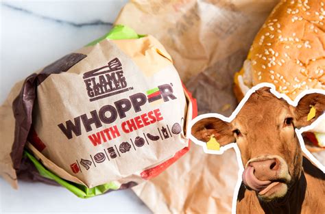 Burger King Introduces Whopper Burgers Made From Cows That Fart Less Lifestyle Rojak Daily