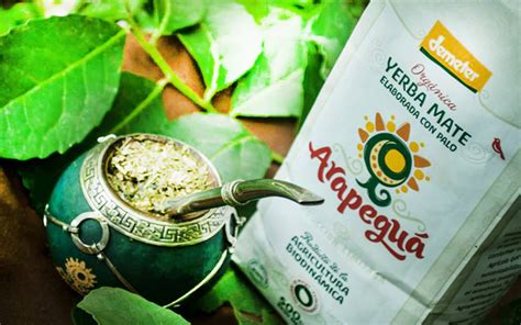 Beneficios De La Yerba Mate