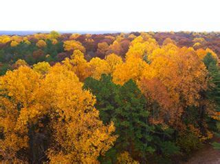 Hoosier National Forest - Home