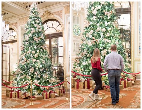 Christmas Proposal At The Plaza In Nyc Mackenzie Blake Lin Pernille