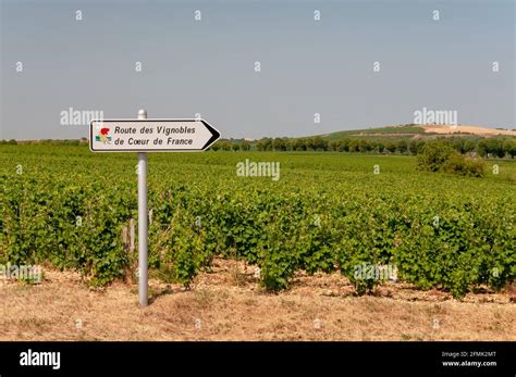 Sancerre vineyards, Cher (18), Centre-Val de Loire region, France Stock ...