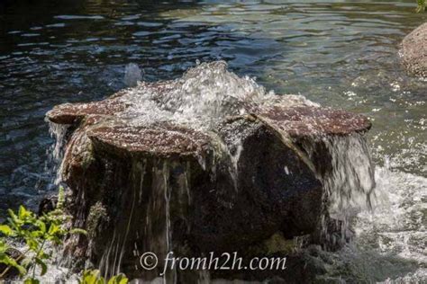 Want To Make Sure That Your Garden Feels Calming And Soothing Check