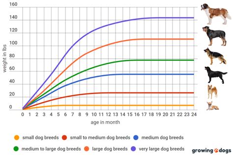 When Do Dogs Stop Growing Puppy Growth Chart Growing Dogs