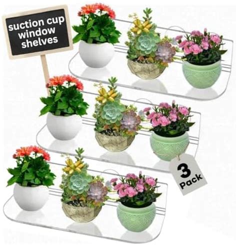 Amazon Pack Suction Cup Window Shelf For Plants Inches