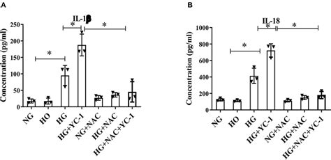 Inhibition Of Hif 1α Significantly Promoted The Degree Of Hg Induced