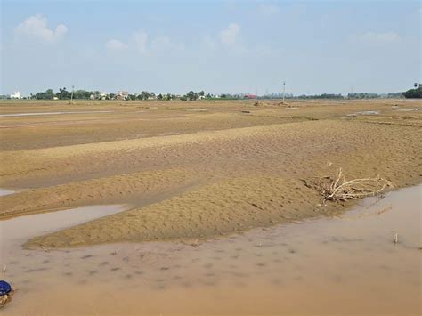 पंजाब के किसानों को मान सरकार ने दी खुशखबरीबोले बाढ़ के दौरान खेतों