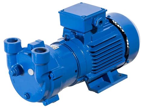 Моноблочный водокольцевой вакуумный насос ERSTEVAK ELRPX 80 купить по ...