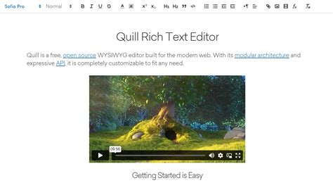 10 Best Wysiwyg Editors For Easier Content Editing 2025 Update