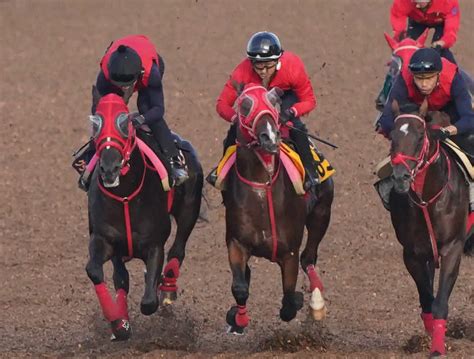 【セントライト記念】グラティアス 抑えたままで併入、加藤征師は手応え スポニチ競馬web