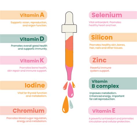 Vitamin Absorption Chart: Maximize Nutrient Intake – Better Family