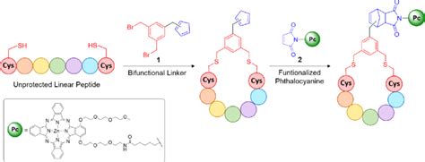 One Pot Synthesis Of Cyclic Peptide−phthalocyanine Conjugates