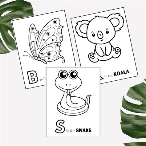 ABC Animals Coloring Book – Inked Mama Design