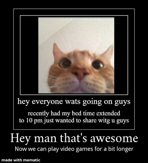 Epic Time R Okbuddyretard Staring Cat Gusic Know Your Meme