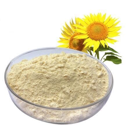 Organic Sunflower Lecithin Powder Bulk Manufacturer Undersun