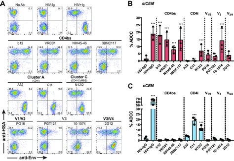 Binding To Ccem And Sicem And Adcc Activity Mediated By Anti Env