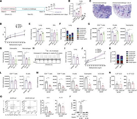 Allergic Airway Recall Responses Require IL 9 From Resident Memory CD4