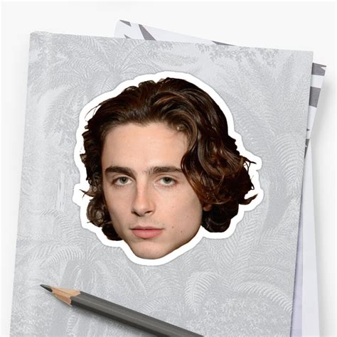 Timothee Chalamet Head Stickers By Nicoloreto Redbubble