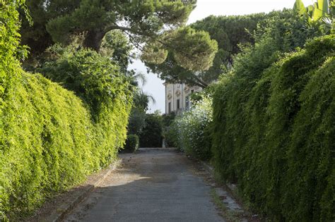 Radici Piccolo Museo Della Natura Fondazione Studio Rizoma