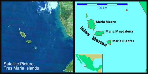 World Class Fishing the Tres Maria Islands for Monster Yellowfin Tuna ...