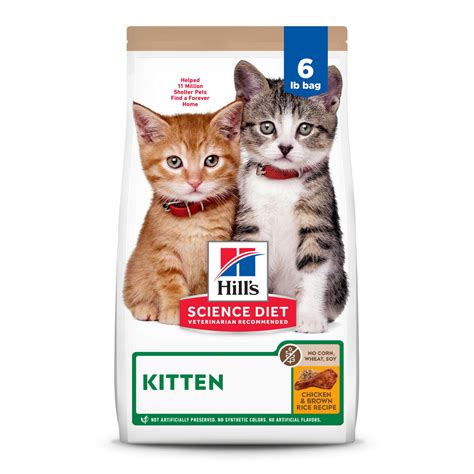 Hill's Science Diet Kitten, Kitten Premium Nutrition, Dry Cat Food, No
