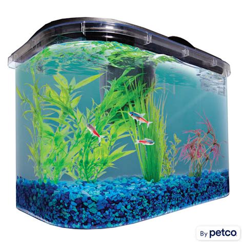 Imagitarium Gallon Freshwater Aquarium Petco