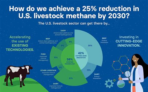 Methane Emissions In Animal Agriculture Edfbusiness