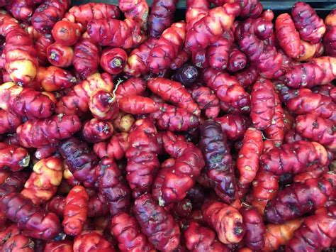 Growing Oca: How to Plant and Raise This Underappreciated Veggie