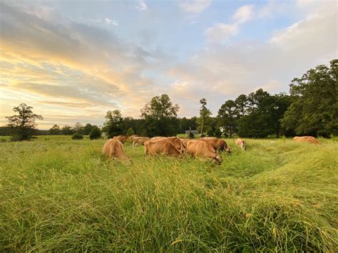 About Our Farm | My Dad & Me Family Farm